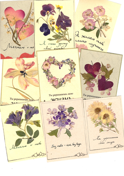 открытка из живых цветов